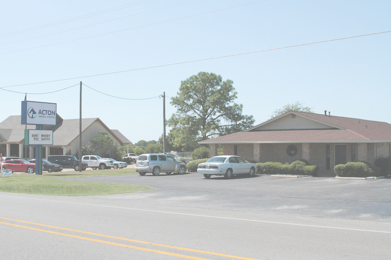 Acton Animal Hospital