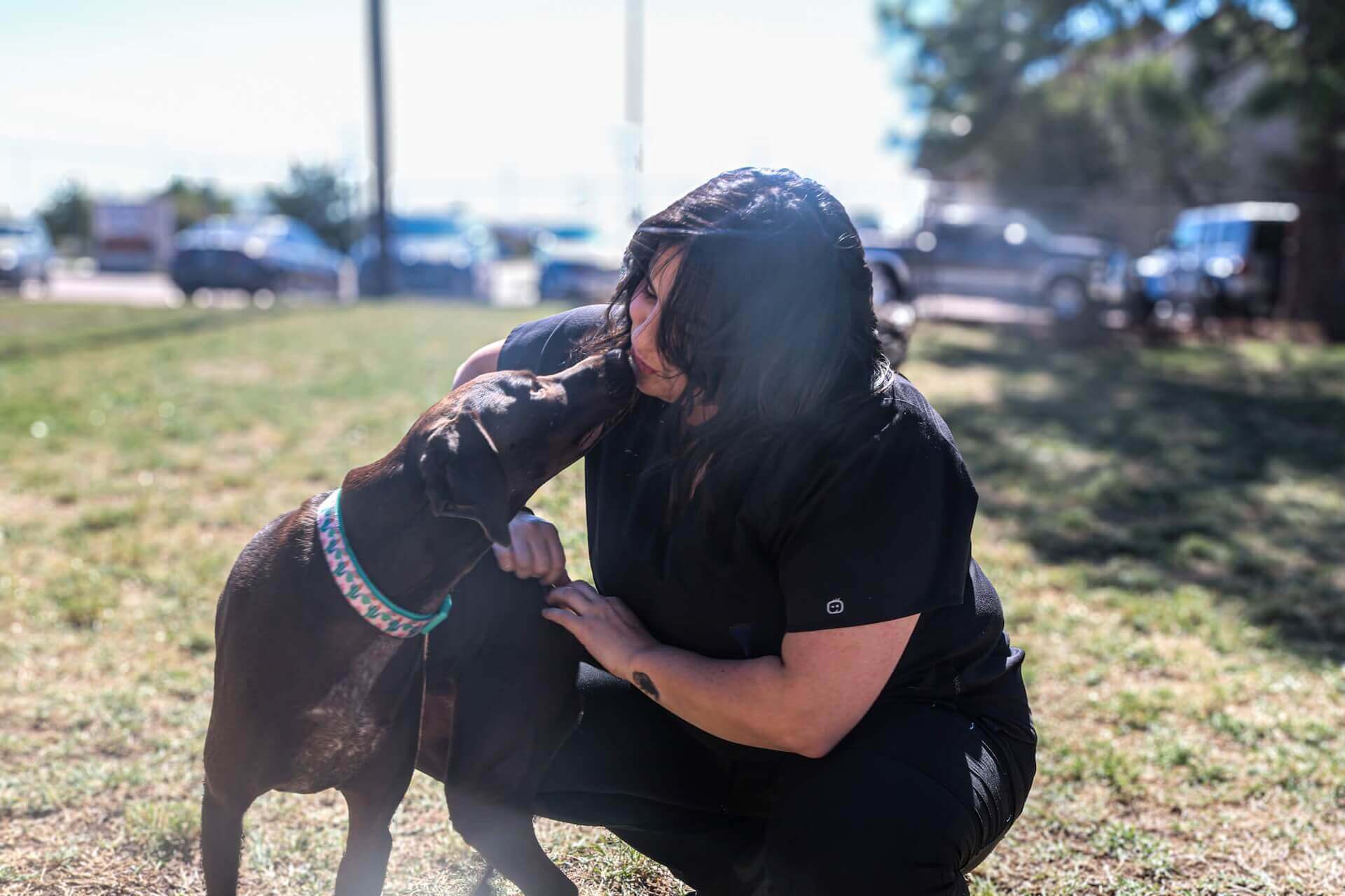 Granbury Veterinarian