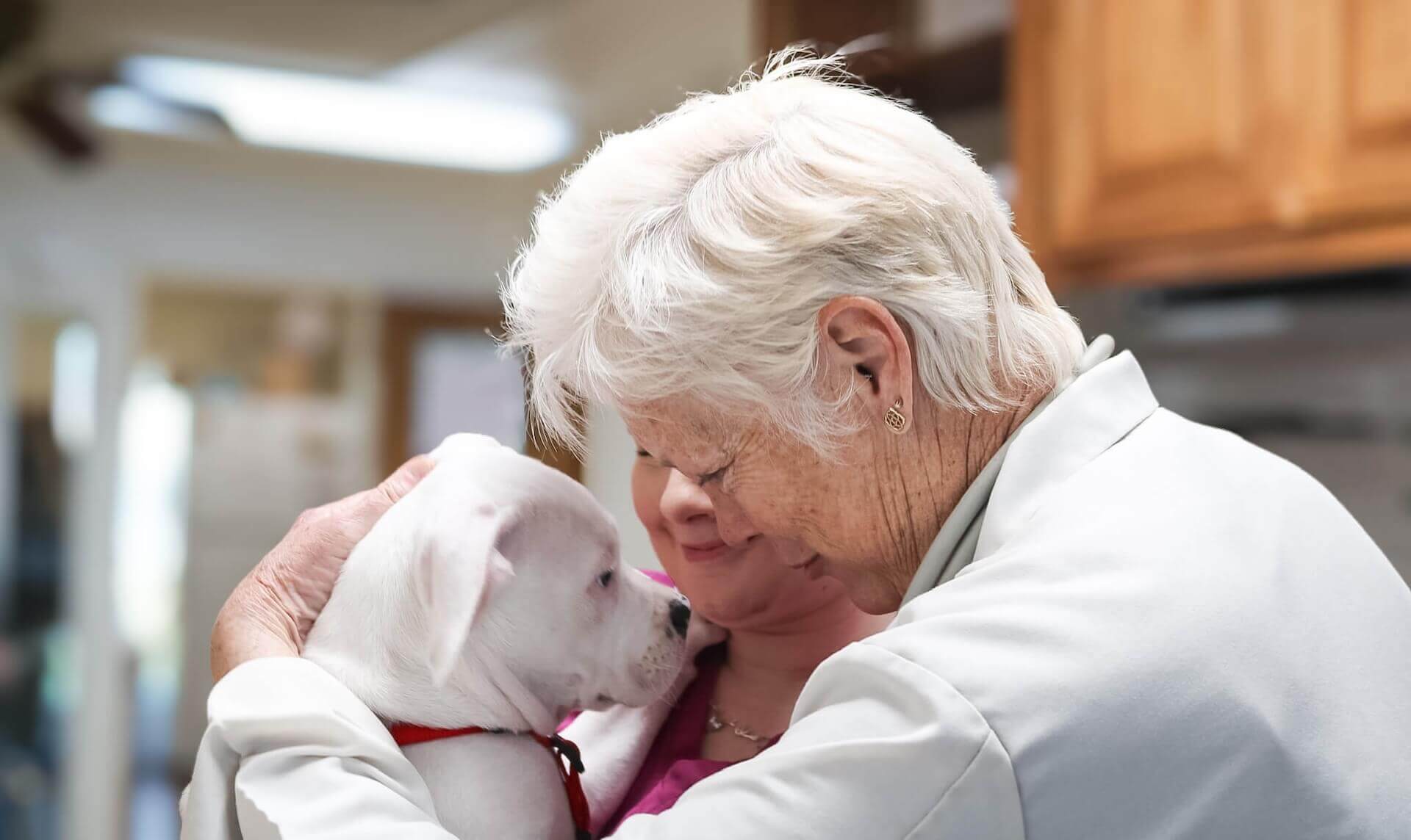 Granbury Veterinary hospital