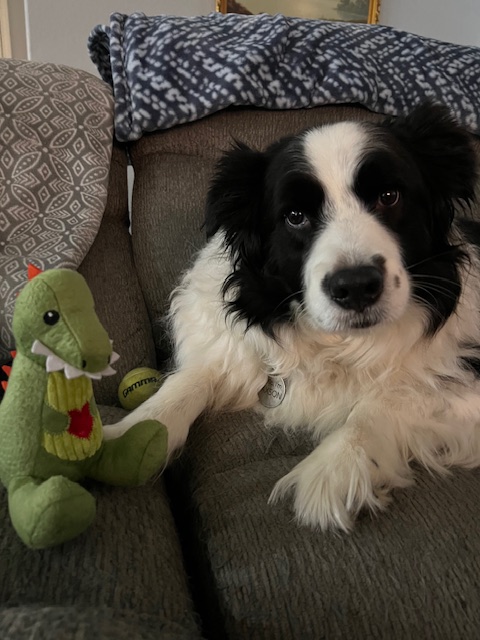 Kelly Z Dog with Dino