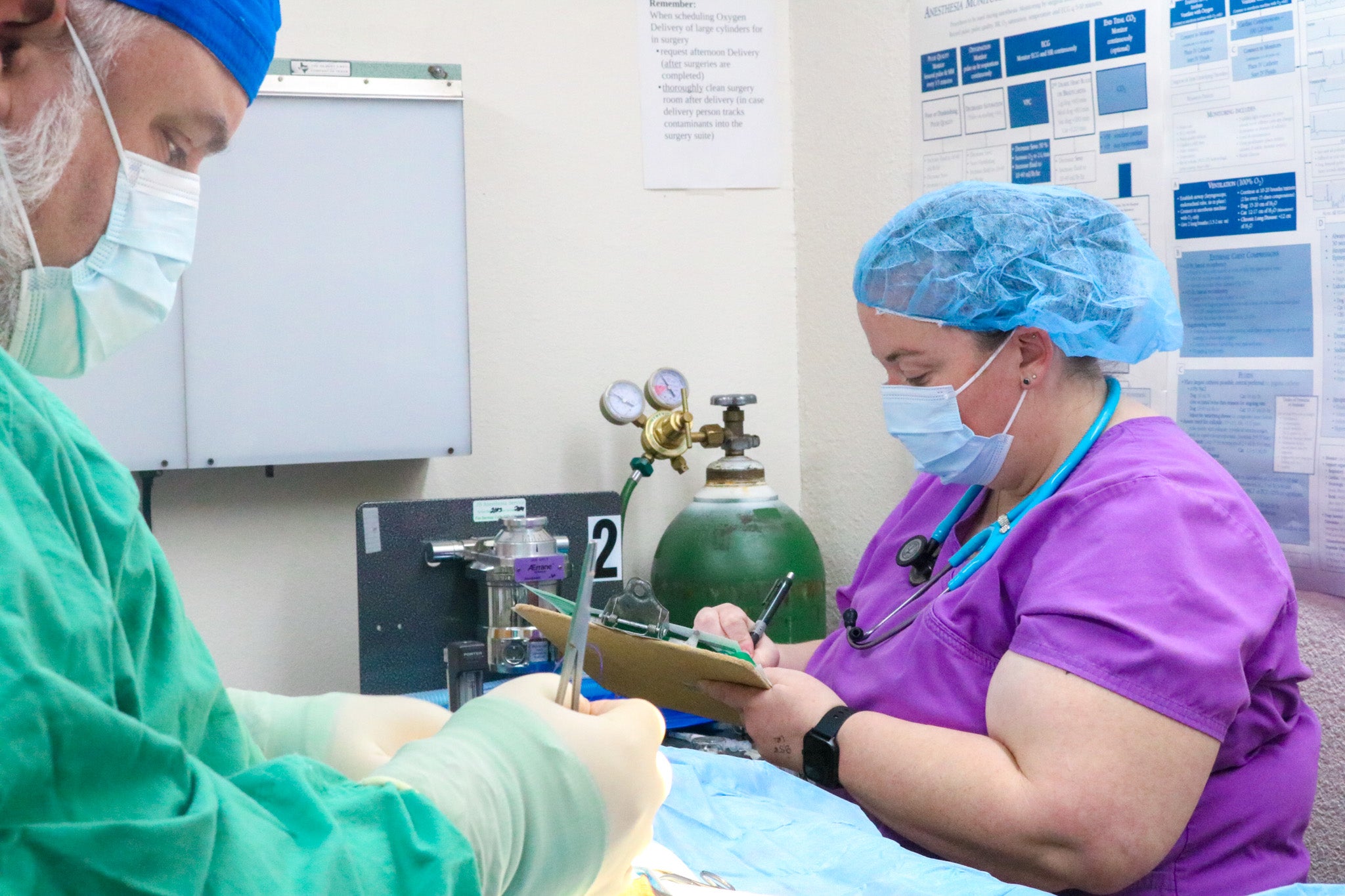 Surgical Services Acton Veterinary Group