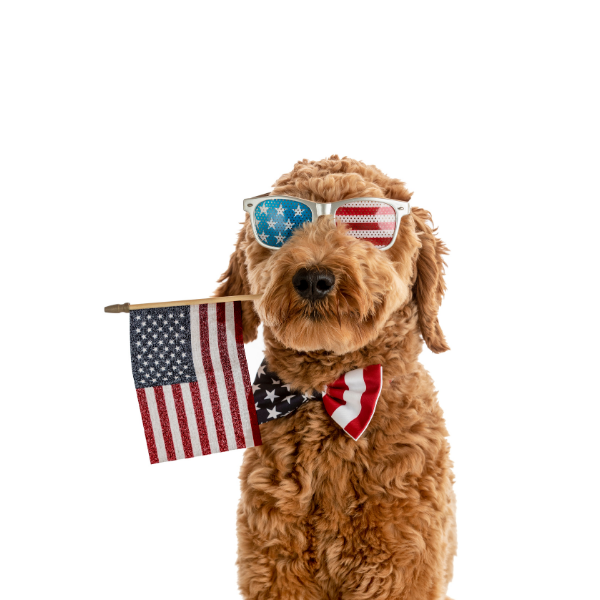 actonfourthofjulyarticle