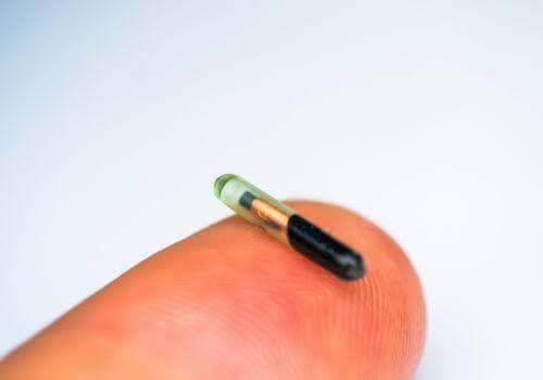 Picture of a microchip