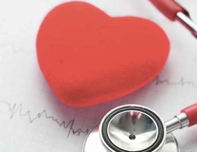 A Veterinarian&#039;s Insight into Dog Cardiology: Understanding Heart Health in Canines