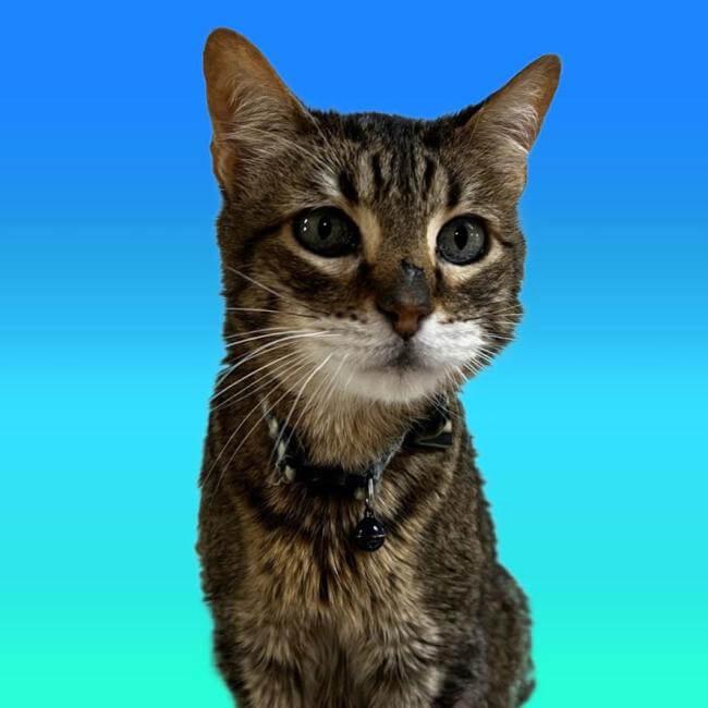 Gary