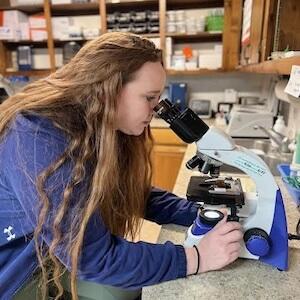 Pet Internal Medicine in Granbury