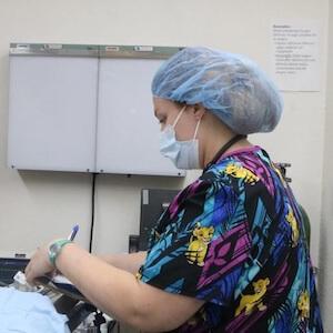 Pet Surgery in Granbury