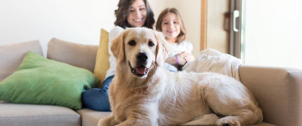 Dog with it's family, pet owners are choosing holistic veterinary care for dogs