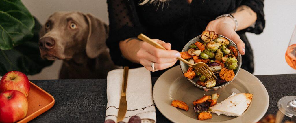 Dog eyeing food on a Thanksgiving table as a woman eats